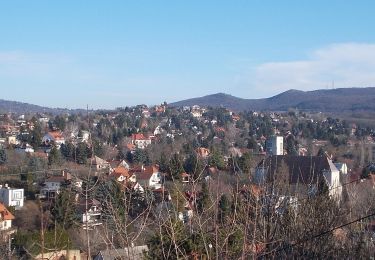 Percorso A piedi Sconosciuto - S↺ (Hűvösvölgy - Nagy-rét - Hűvösvölgy) - Photo