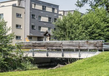 Randonnée A pied Oberkirch - Neuhus - Renzligen - Photo