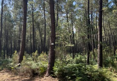 Tour Wandern Liniers - Mouillère 14kms - Photo