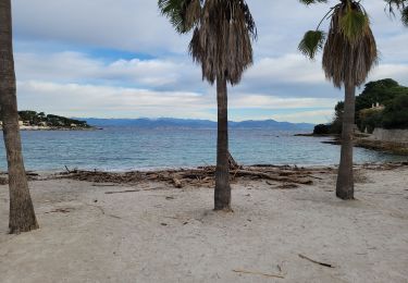 Randonnée Marche Antibes - 
