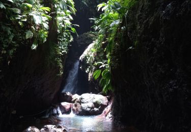 Tocht Stappen Bouillante - Trou à Diable par la rivière Bourceau - Photo