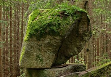 Tour Zu Fuß Gemeinde Groß Gerungs - Höhenweg 3 - Photo