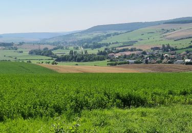 Randonnée Marche Leyr - Leyr - plateau de la Rochette - Photo