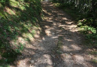 Tour Zu Fuß Vaugneray - Circuit de l'aqueduc - Photo