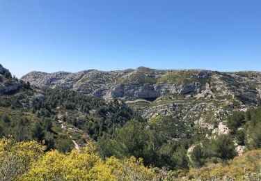 Percorso Marcia Marsiglia - Calanques Marseille - Domaine de Luminy - Photo