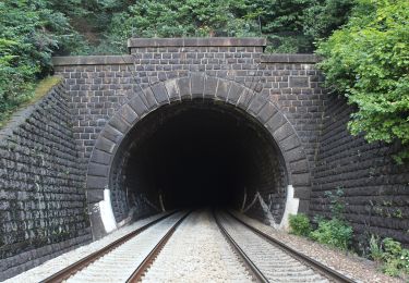 Percorso A piedi Předklášteří - Naučná stezka Předklášteří - Photo