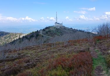 Trail Walking Véranne - 42-les_crets_8km340m - Photo