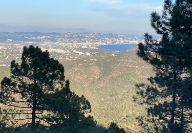 Randonnée Marche Mandelieu-la-Napoule - Esterel volcan - Photo