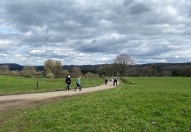 Randonnée Marche Érezée - Briscol - Photo