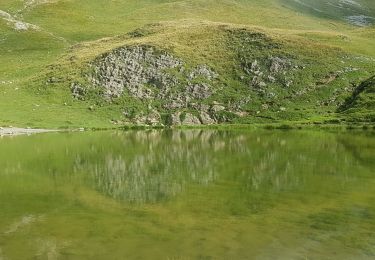 Excursión Senderismo Le Reposoir - Colombière-Pointe de Balafrasse - Photo