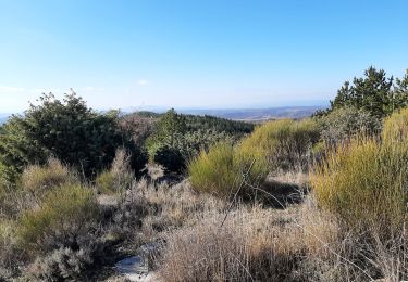 Excursión Senderismo Saint-Jeannet - Le Somme  du plateau  d entrevenne  - Photo