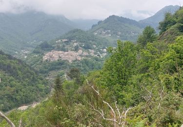 Tocht Stappen Vallées-d'Antraigues-Asperjoc - Antraigue Genestelle 8km. - Photo