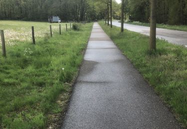 Tocht Stappen Venray - Van de oude barrier naar Maashees - Photo