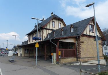 Tocht Te voet Bad Münstereifel - EifelSchleife Burgenblick - Photo