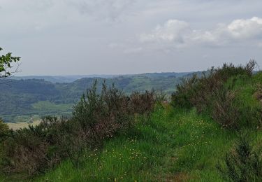 Trail Walking Rupt-sur-Moselle - 21-05-23 autour du chalet de Belué - Photo