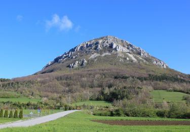 Tour Zu Fuß Wippach - 145 ~ Pot kurirjev in vezistov NOV Slovenije - Photo