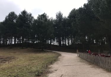 Trail Bicycle tourism Quend - Belle Dune - Parc du Marquenterre - Photo