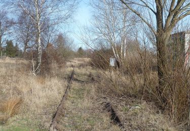 Randonnée A pied Ziesar - Naturparkrundwanderweg 51 