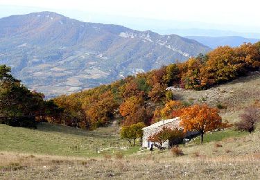 Randonnée Marche Montjoux - Montjoux 6km2 - Photo