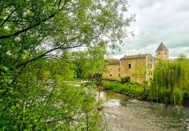 Trail Walking Chaumont - Boucle 31 km autour de Chaumont - Photo