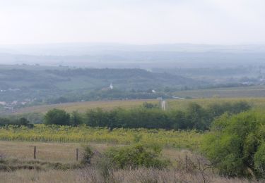 Randonnée A pied Esztergom - Z+ (Kesztölc, Dózsa György utca - Sasfészek (Berda József kh.) - Pilisszentlélek, aut. ford.) - Photo