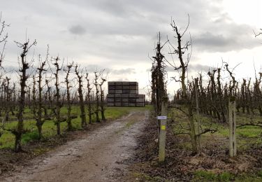 Tocht Stappen Borgloon - Kerniel (Borgloon) - Photo