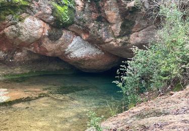 Trail Walking Grabels - Tour de Grabels par la source de l’Avy, La Croix de Guillery - Photo