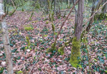 Tour Wandern Doische - adeps à Doissche 26/3/23 - Photo