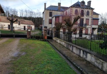Trail Road bike Paron - 100 NO75 Courlon # Villethierry-01 - Photo