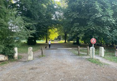 Percorso Marcia Villers-Cotterêts - en Forêt de Retz_95_07_2025_autour de l'Allée Royale - Photo