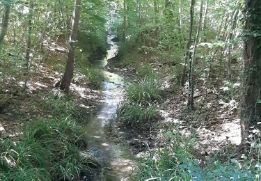 Excursión Senderismo Saint-Jean-aux-Bois - SAINT JEAN AUX BOIS, le village et les bois - Photo