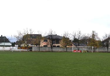 Tour Zu Fuß Siegendorf - 3-Gemeinde-Tour (Vital-Parcours Siegendorf) - Photo