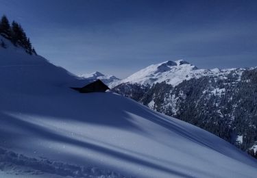 Randonnée Ski de randonnée Beaufort - roche parstire - Photo