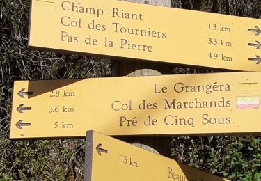 Trail Walking Beauregard-Baret - Pré de cinq sous - Photo