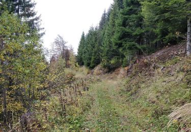 Tour Wandern Arâches-la-Frasse - La Grasse les granges, l'Artoche, la combe, les sommaires, retour par la Presse, la mouille - Photo