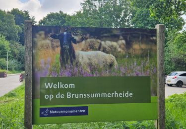 Tocht Stappen Heerlen - Brunssummerheide  - Photo