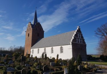 Trail On foot  - Gå- og ridestier i og omkring Visby, gul - Photo