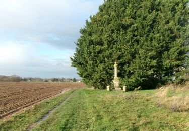 Tour Wandern Franqueville-Saint-Pierre - 20231205-franqueville - Photo