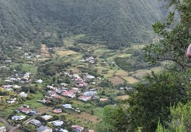 Percorso Marcia Saint-Joseph - RandoPitons.re #1401 - Le sentier du Curcuma et l'aire du Rond à la Plaine des Grègues - Photo