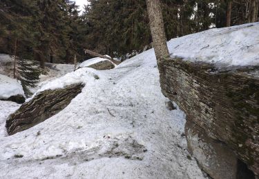 Tour Zu Fuß Trojanowitz - Naučná stezka Čertův mlýn - Photo