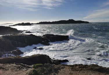 Excursión Senderismo Hyères - Tour de la presqu'île de Giens est - Cap Esterel - Photo