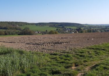 Tour Wandern Havelange - Chardeneux  ac 2 - Photo