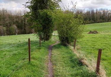 Trail Walking Honnelles - Promenade du caillou qui bique  - Photo