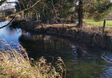 Tocht Stappen Villy-sur-Yères - Villy-sur-Yères  - Photo