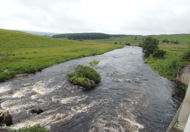 Randonnée A pied  - Bardennock Trail - Photo