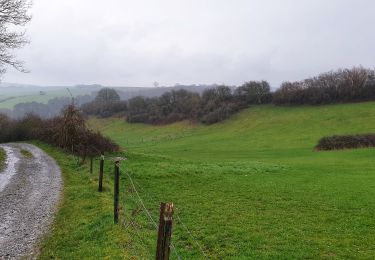 Randonnée Marche Walcourt - Balade à Walcourt - Photo