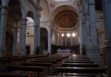 Excursión A pie Teolo - Sentiero del Giubileo - Photo