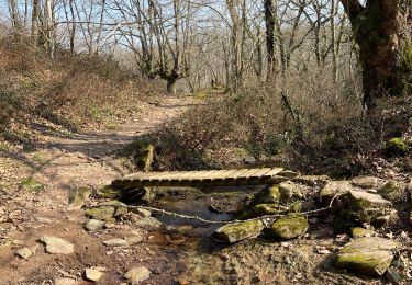 Randonnée Marche Urdazubi/Urdax - Azkar depuis Urdax - Photo