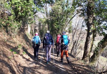 Trail Walking Miribel-Lanchâtre - Les crêtes de la Ferrière en circuit - Photo