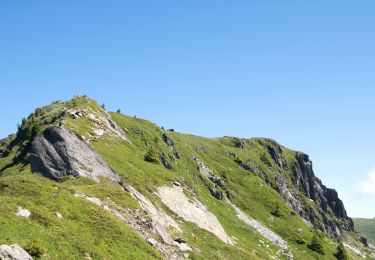 Trail Walking Chamonix-Mont-Blanc - Aiguillette des Posettes - Photo